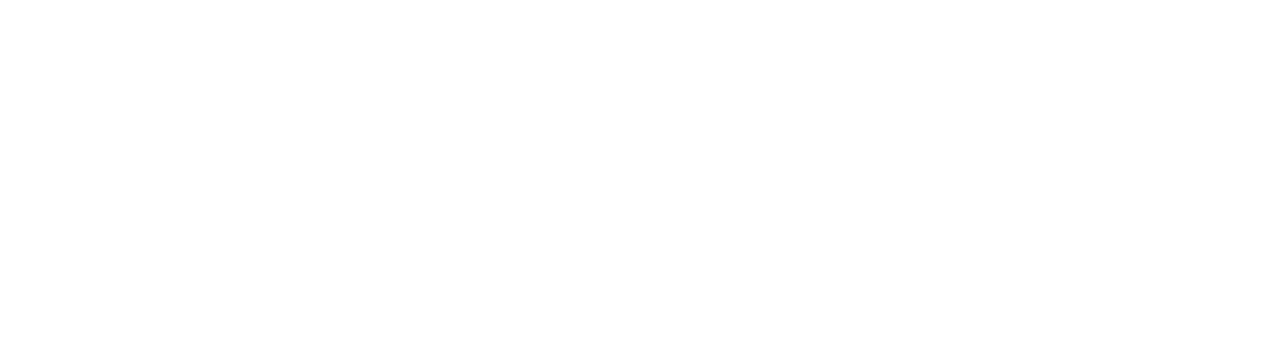 Hiddn logo